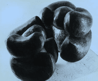 IIGatheringFormsJ-a
